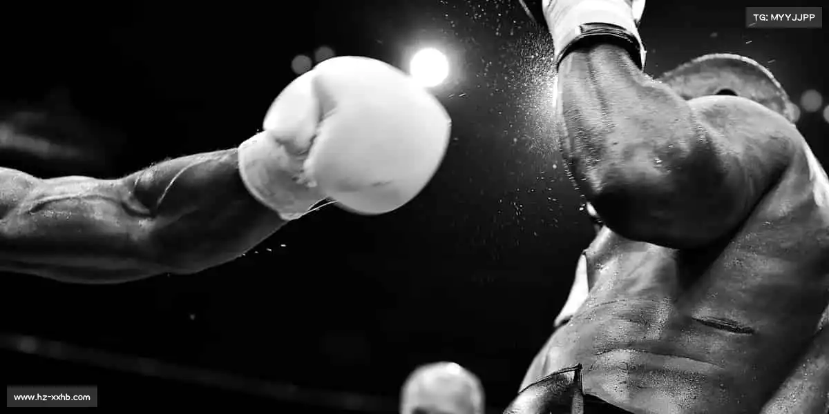 我们的品牌价值